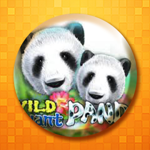 Wild Giant Panda